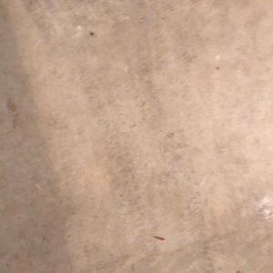 Meet your Posher, Kay